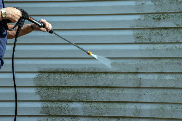 Best Affordable Power Washing  in Eleanor, WV